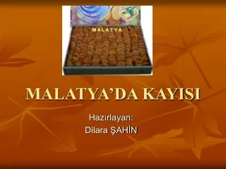 malatya da kayisi