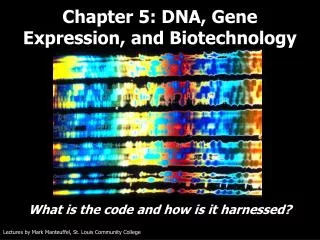 Chapter 5: DNA, Gene Expression, and Biotechnology