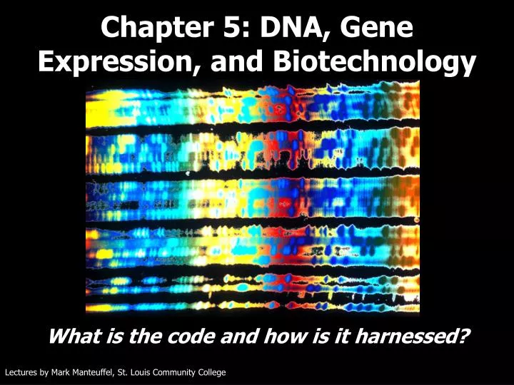 chapter 5 dna gene expression and biotechnology