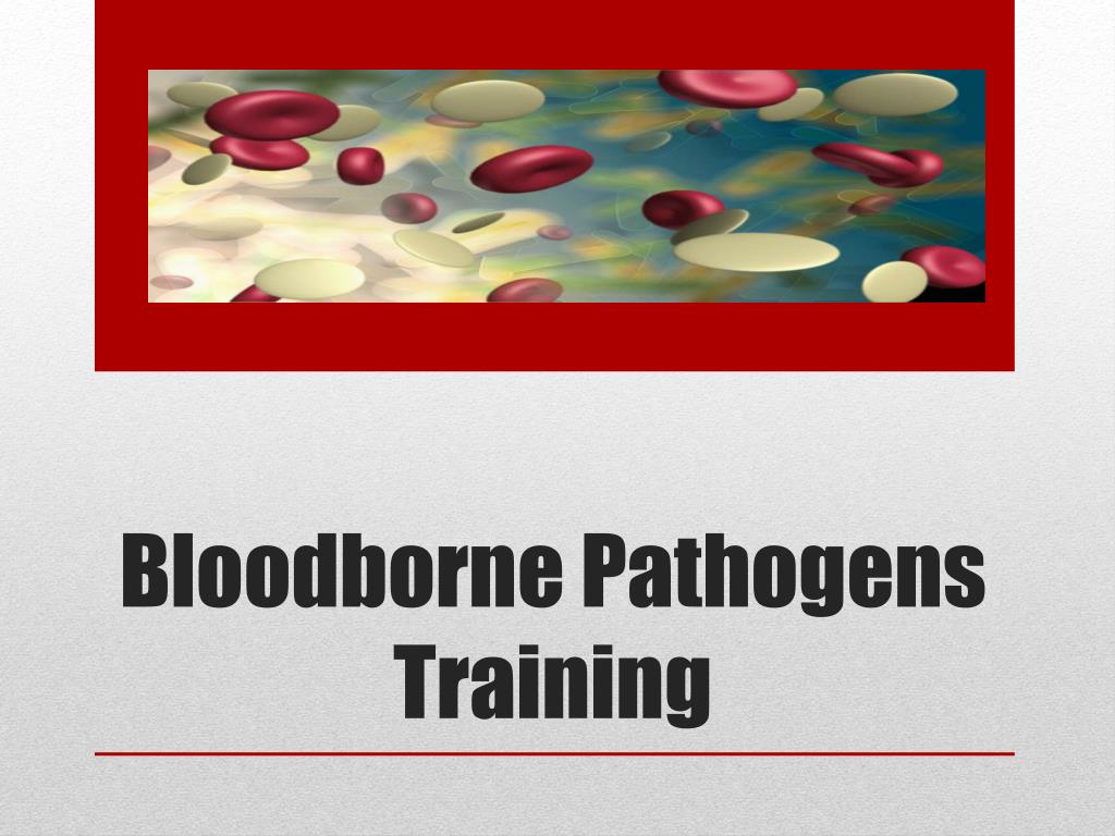 PPT - Bloodborne Pathogens Training PowerPoint Presentation, free ...