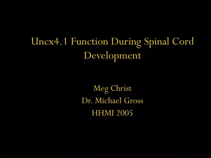 uncx4 1 function during spinal cord development