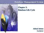 Database Management System - slide 1