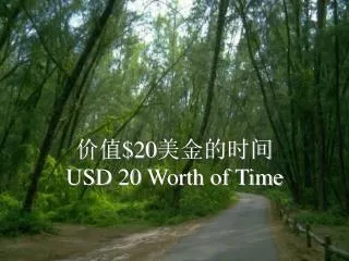 20 usd 20 worth of time
