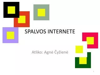 spalvos internete