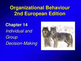 chapter 14 individual and group decision making