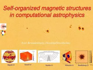 Self-organized magnetic structures in computational astrophysics