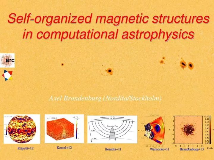 self organized magnetic structures in computational astrophysics