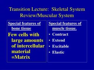 Transition Lecture: Skeletal System Review/Muscular System