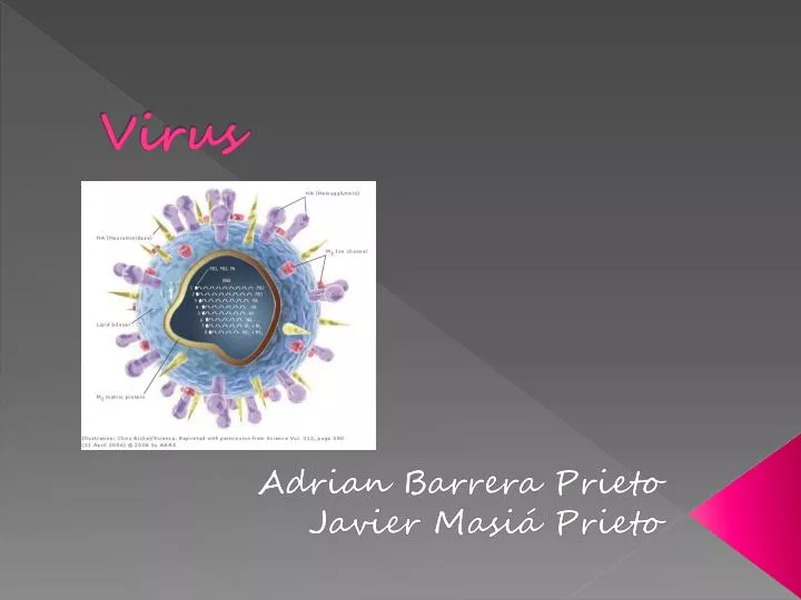 virus