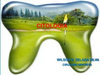 citologia