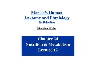 Chapter 24 Nutrition &amp; Metabolism Lecture 12