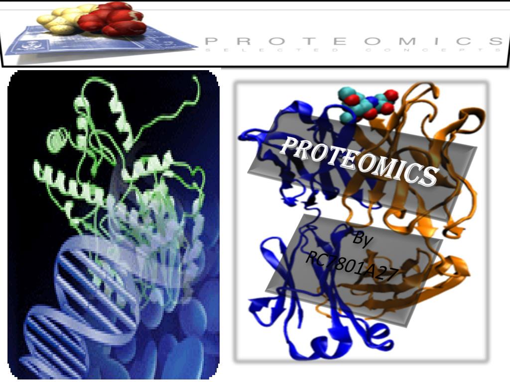 PPT - proteomics PowerPoint Presentation, free download - ID:6132319