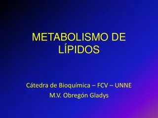 metabolismo de l pidos