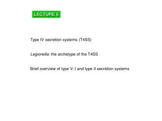 Type IV secretion systems (T4SS) Legionella: the archetype of the T4SS