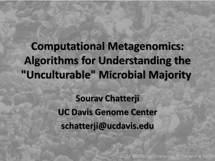 computational metagenomics algorithms for understanding the unculturable microbial majority