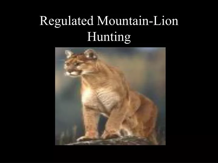 regulated mountain lion hunting