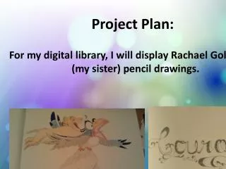 Project Plan: