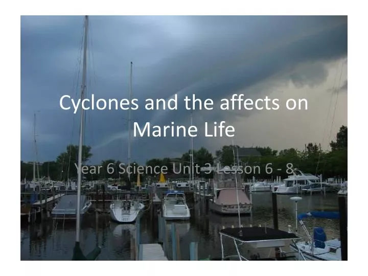 cyclones and the affects on marine life