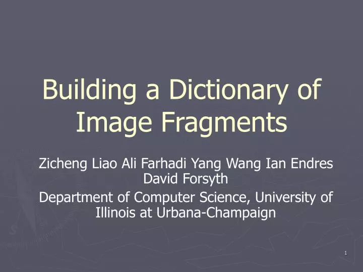 building a dictionary of image fragments