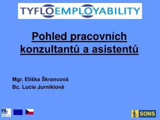 pohled pracovn ch konzultant a asistent