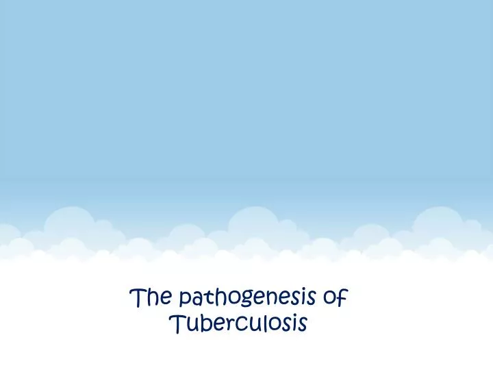 the pathogenesis of tuberculosis