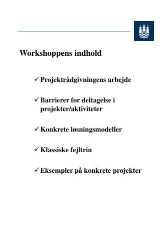 workshoppens indhold