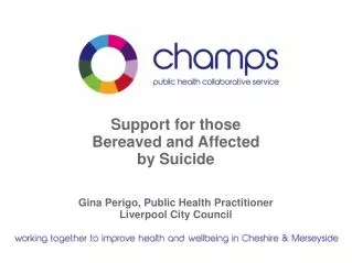 Support for those Bereaved and Affected by Suicide Gina Perigo, Public Health Practitioner