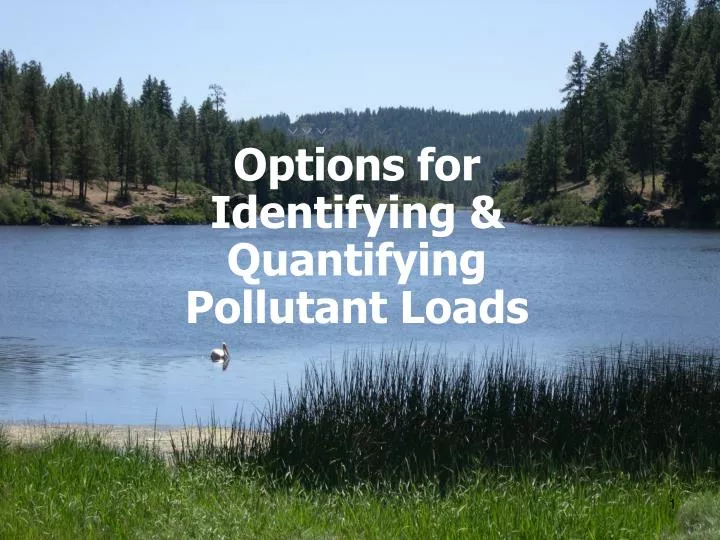 options for identifying quantifying pollutant loads