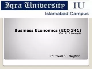 Business Economics ( ECO 341) Fall: 2012 Semester
