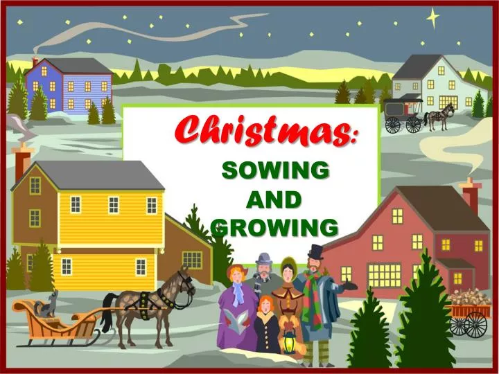 christmas sowing and growing