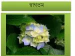স্বাগতম - slide 1