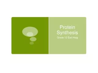 Protein Synthesis