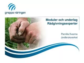 moduler och underlag r dgivningsexperter