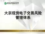 大宗现货电子交易风险管理体系 - slide 1