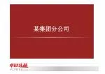 某集团分公司 - slide 1