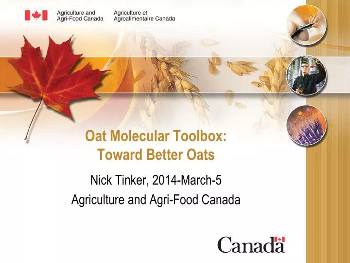 oat molecular toolbox toward better oats