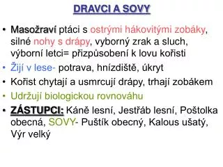 dravci a sovy