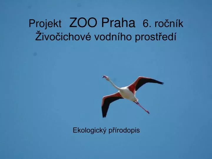 projekt zoo praha 6 ro n k ivo ichov vodn ho prost ed