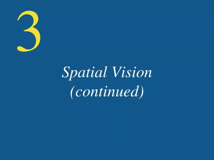 spatial vision continued