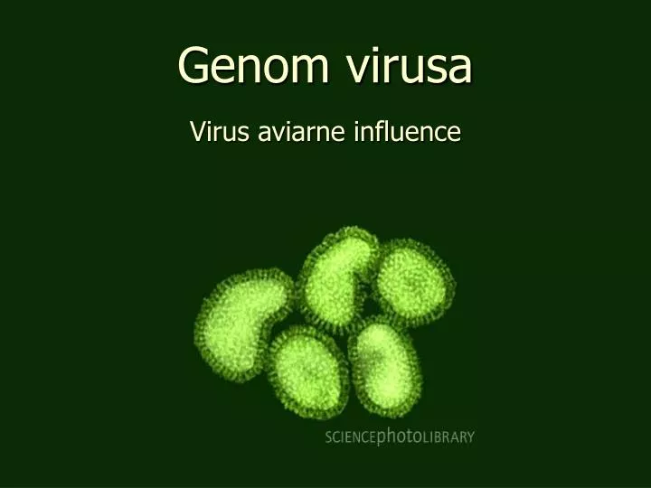 genom virusa