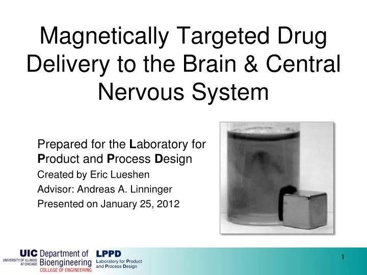 magnetically targeted drug delivery to the brain central nervous system