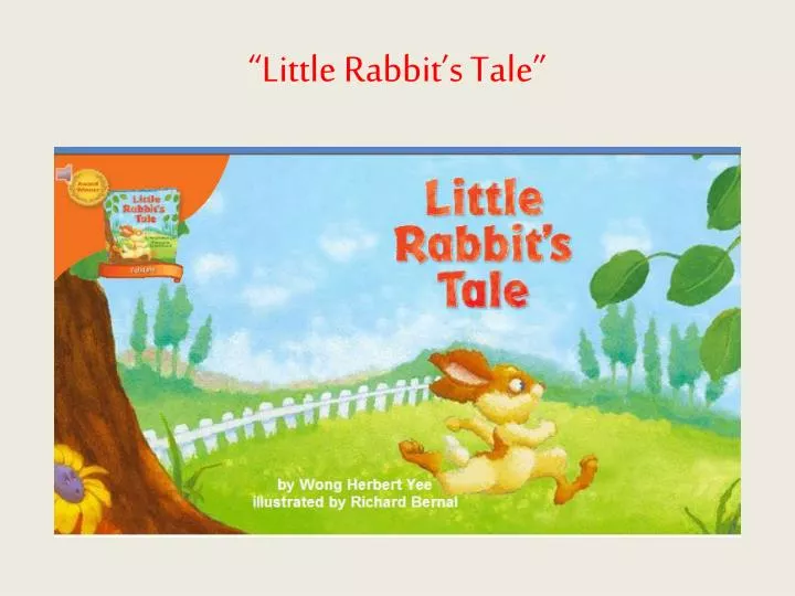 little rabbit s tale