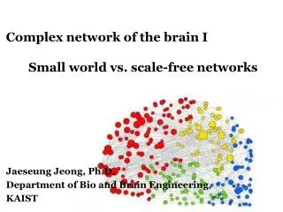 Complex network of the brain I Small world vs. scale-free networks