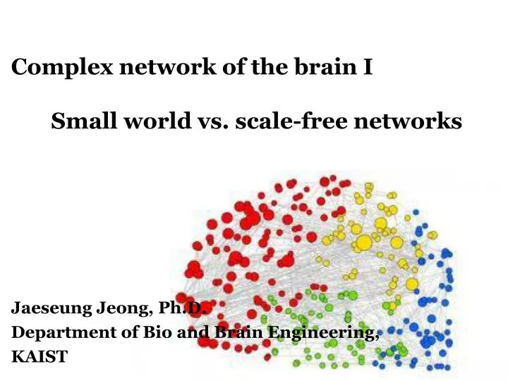 complex network of the brain i small world vs scale free networks