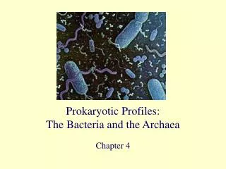 Prokaryotic Profiles: The Bacteria and the Archaea