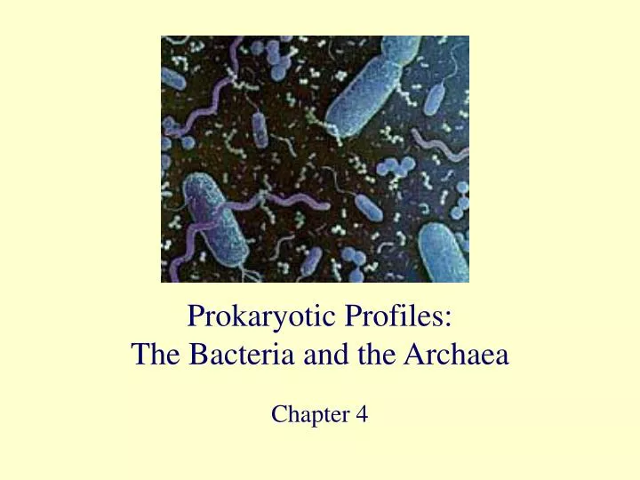 prokaryotic profiles the bacteria and the archaea