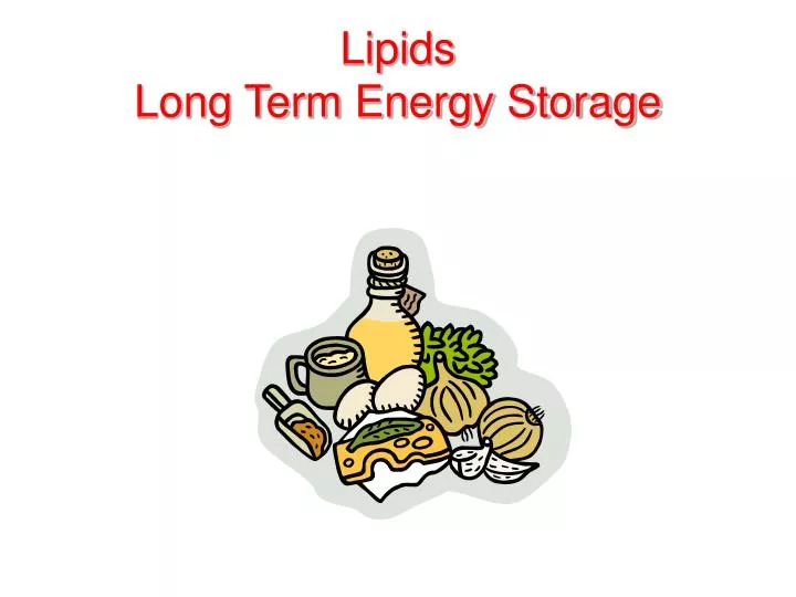 lipids long term energy storage