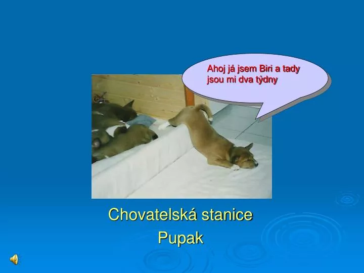 chovatelsk stanice pupak