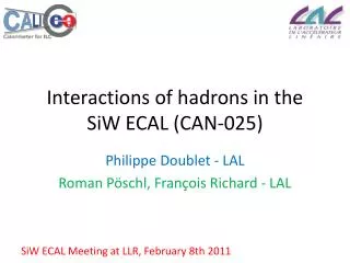Interactions of hadrons in the SiW ECAL (CAN-025)