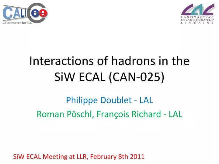 interactions of hadrons in the siw ecal can 025